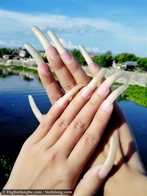 livery nails|long natural fingernails pictures.